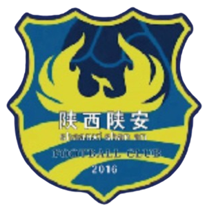 陜西陜安